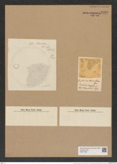 Eupodiscus trioculatus Grev. (de-Toni-Nr.: Genus 177, Species 4463) Zeichnungen Sammlung Grunow Nr. 8030 (NHMW-BOT-W0377338)